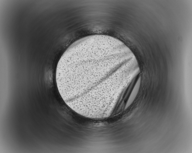 X0000096410646200802211226