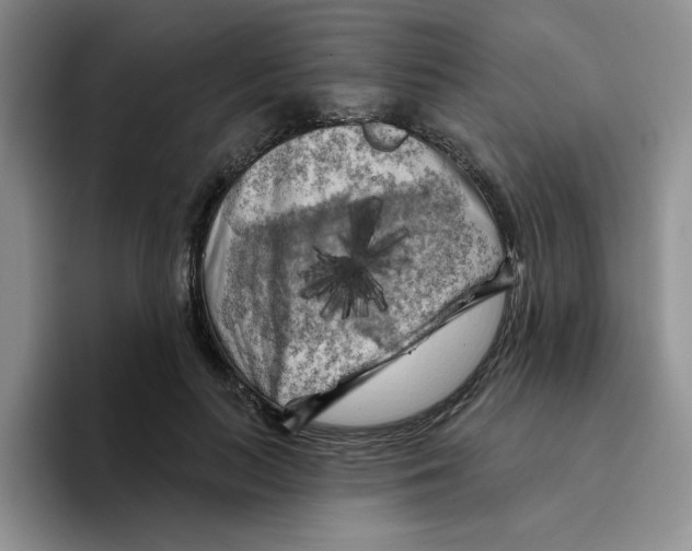 X0000096410647200802211226