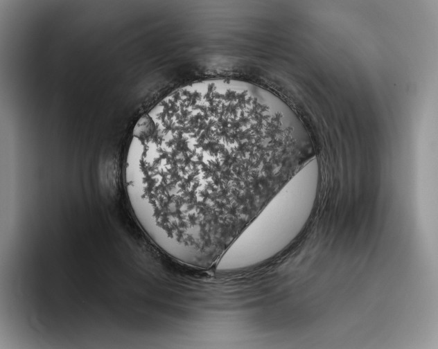 X0000096410648200802211226