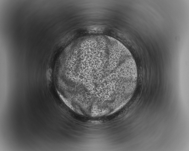 X0000096410649200802211226