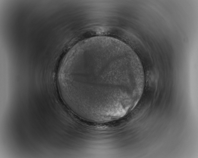 X0000096410650200802211226