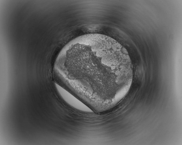 X0000096410651200802211226