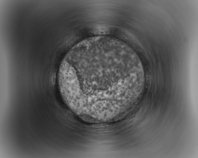 X0000096410652200802211226