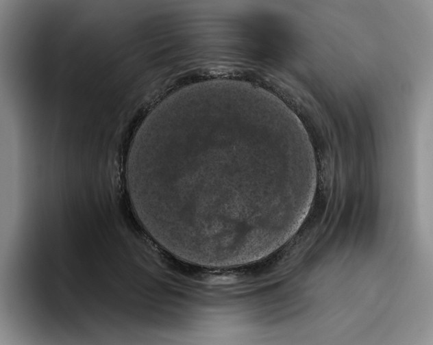 X0000096410653200802211226