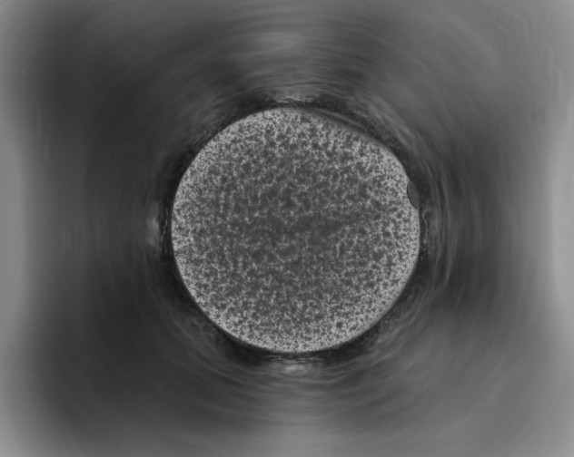 X0000096410655200802211226