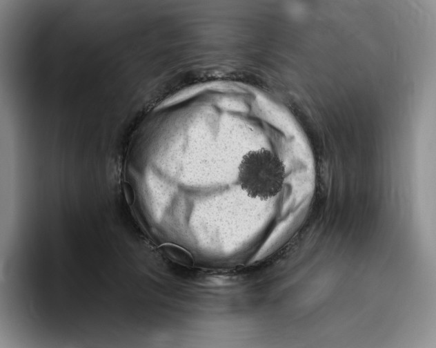 X0000096410657200802211226