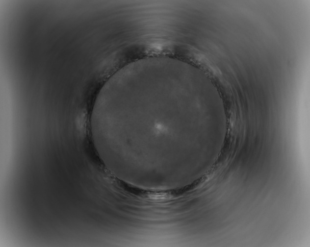 X0000096410659200802211226