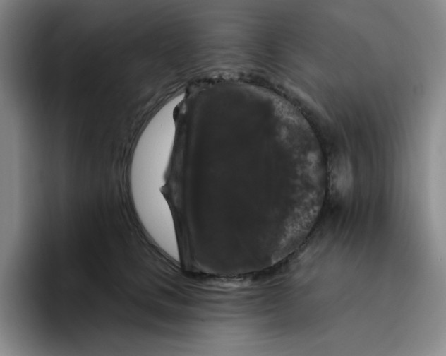 X0000096410661200802211226