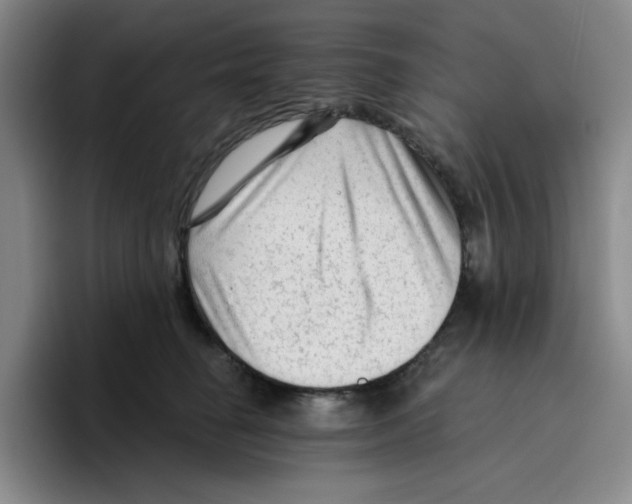 X0000096410662200802211226