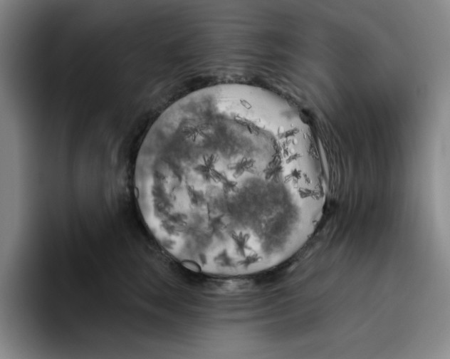 X0000096410663200802211226
