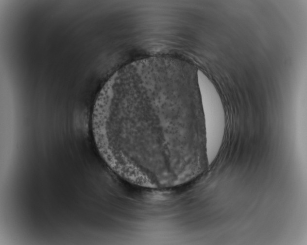X0000096410664200802211226