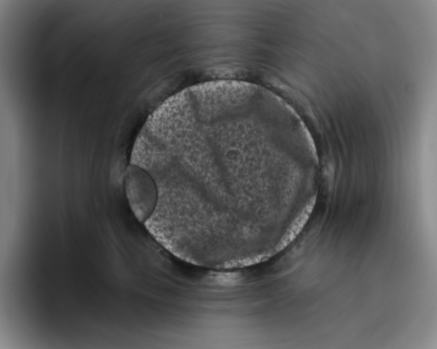 X0000096410665200802211226