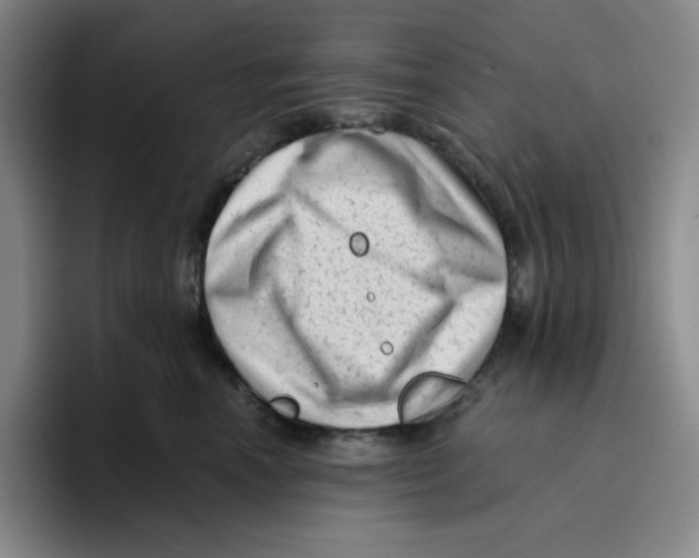 X0000096410666200802211226