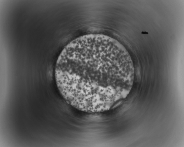 X0000096410668200802211226