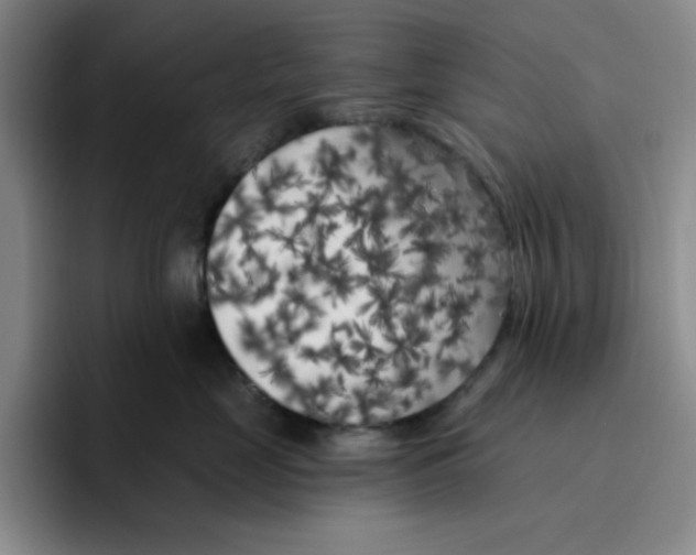 X0000096410669200802211226
