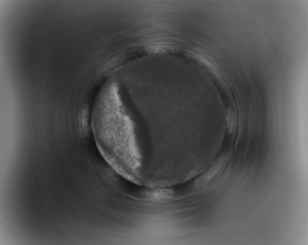 X0000096410670200802211226