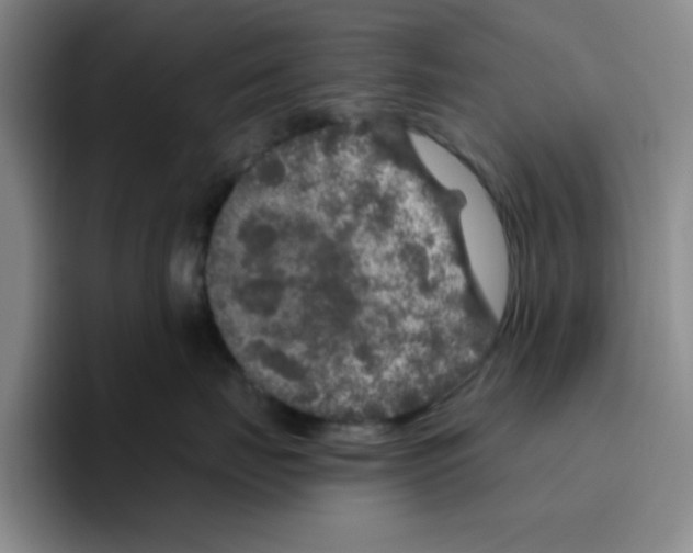 X0000096410671200802211226