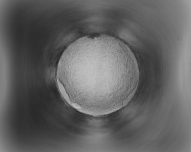 X0000096410672200802211226