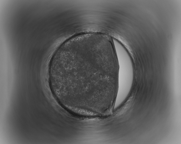 X0000096410673200802211226