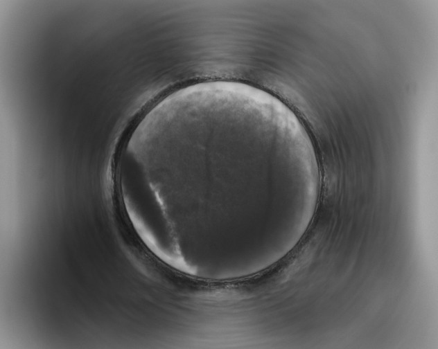 X0000096410674200802211226