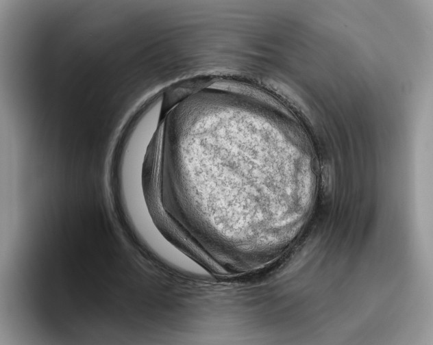 X0000096410676200802211226
