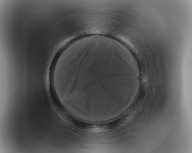X0000096410678200802211226