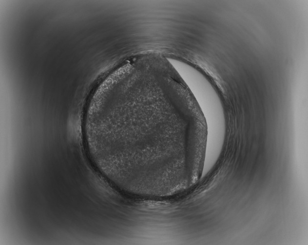 X0000096410681200802211226