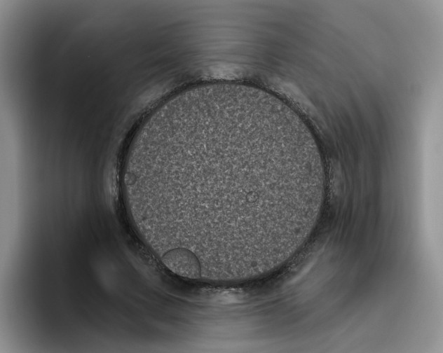 X0000096410683200802211226