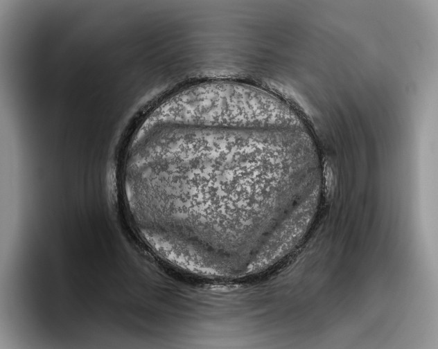 X0000096410684200802211226