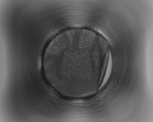 X0000096410685200802211226