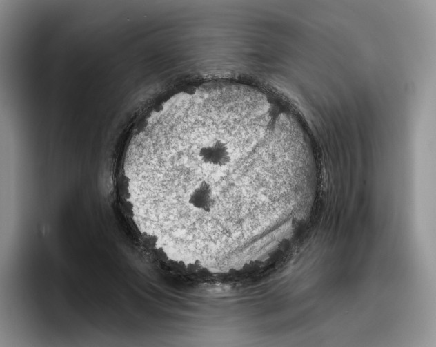 X0000096410687200802211226