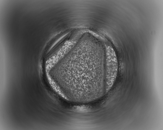 X0000096410688200802211226