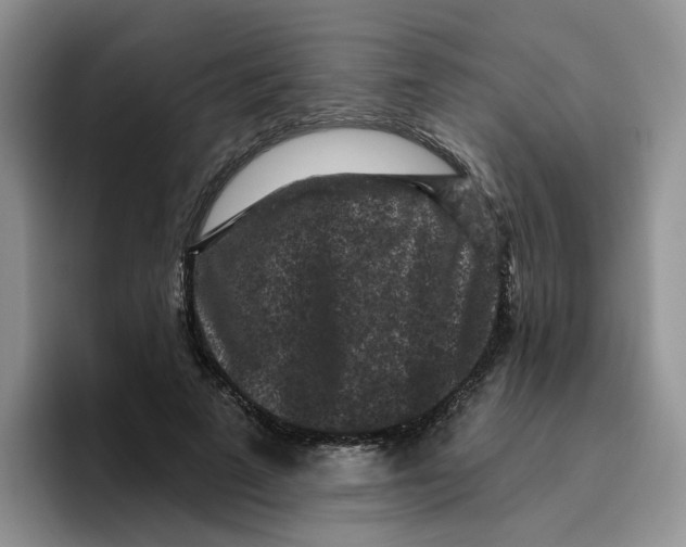 X0000096410689200802211226