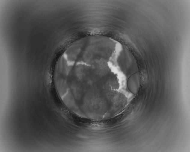 X0000096410691200802211226