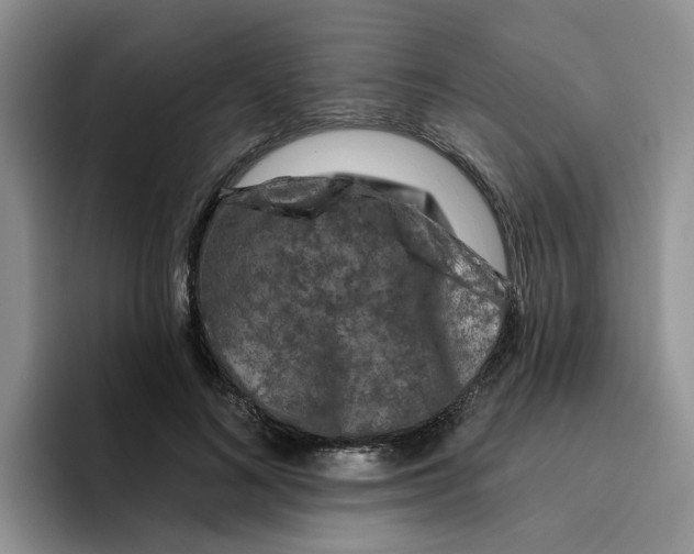 X0000096410692200802211226