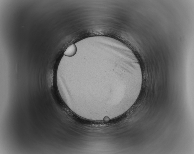 X0000096410694200802211225