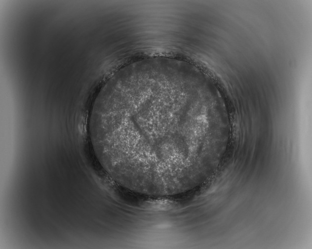 X0000096410695200802211225