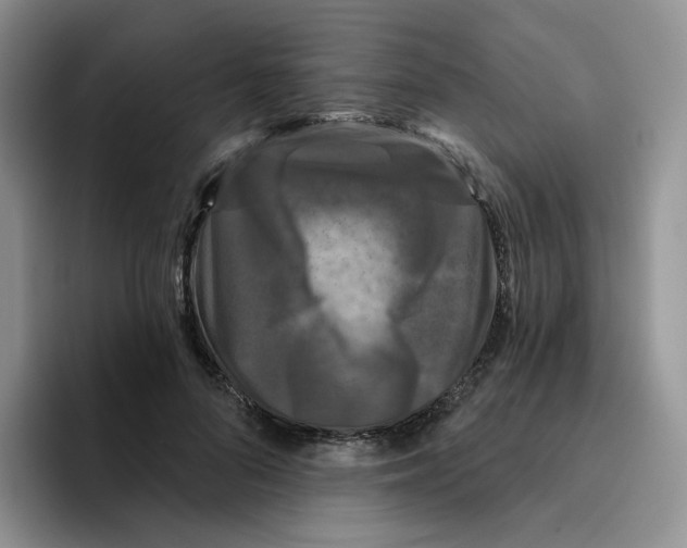 X0000096410696200802211225