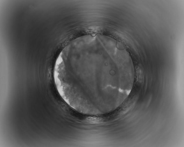 X0000096410699200802211225