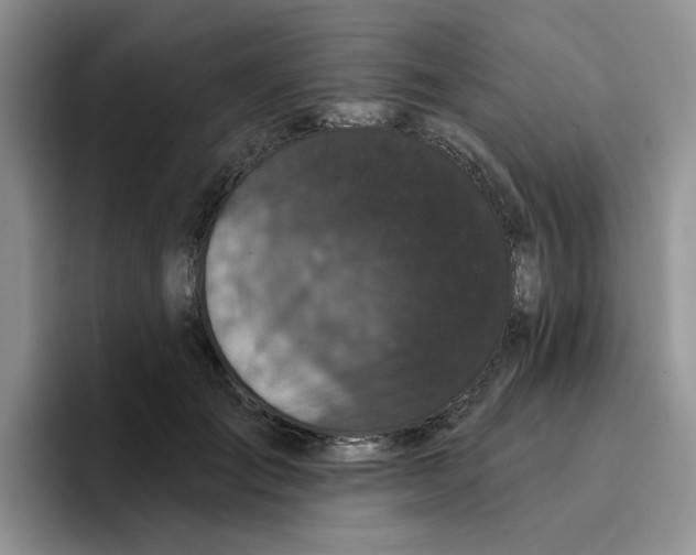 X0000096410701200802211225