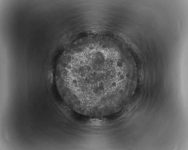 X0000096410703200802211225