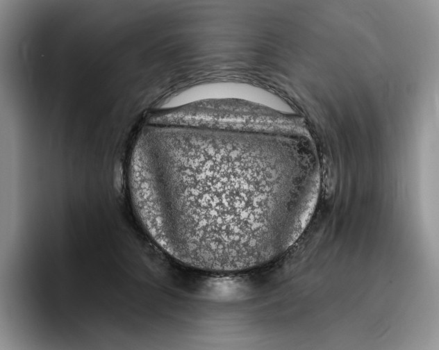 X0000096410704200802211225