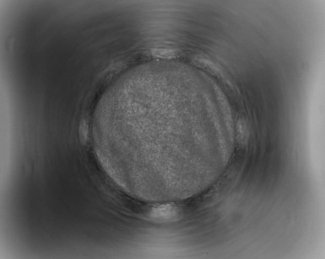 X0000096410705200802211225