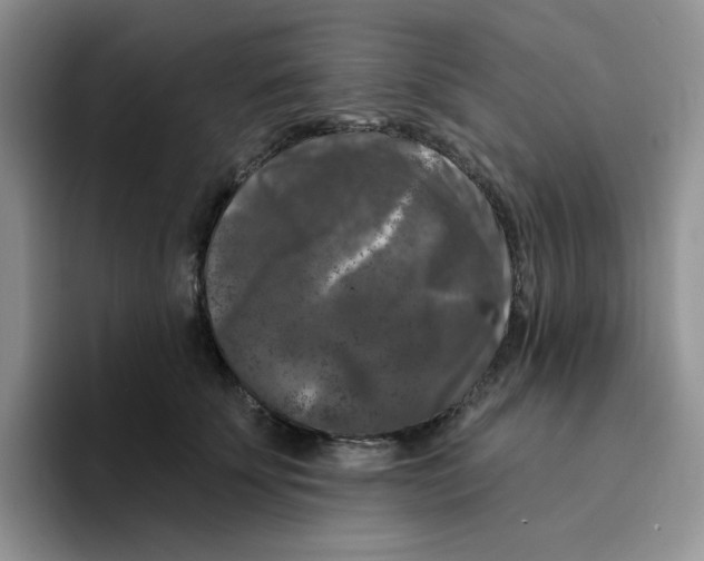 X0000096410707200802211225