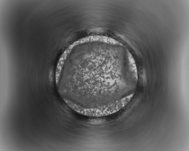 X0000096410708200802211225