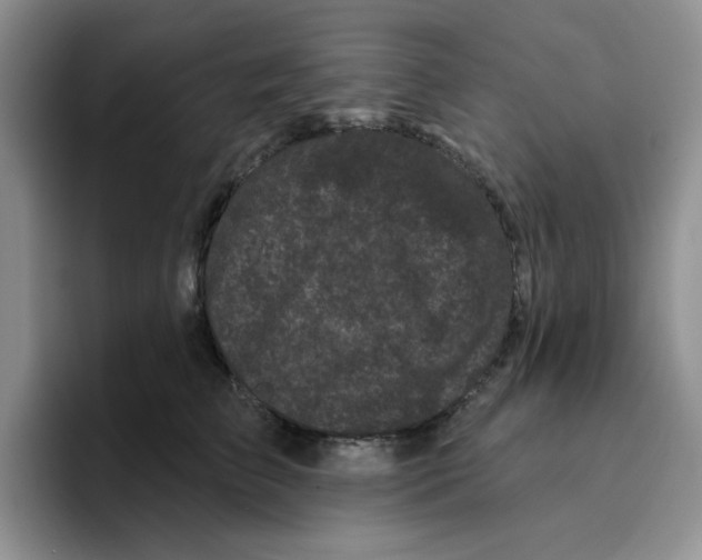 X0000096410709200802211225