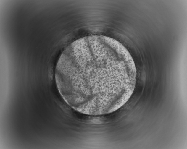 X0000096410710200802211225