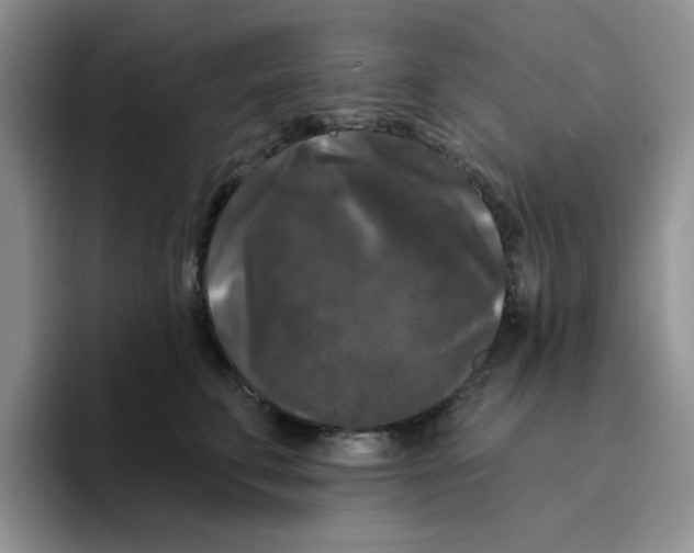 X0000096410711200802211225