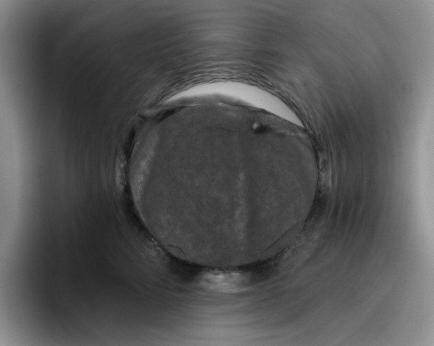 X0000096410712200802211225