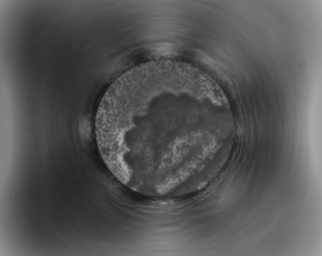 X0000096410715200802211225